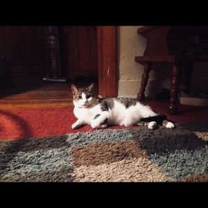 Meet your Posher, Savannah